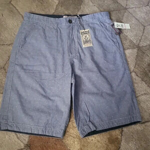 Flag & Anthem shorts